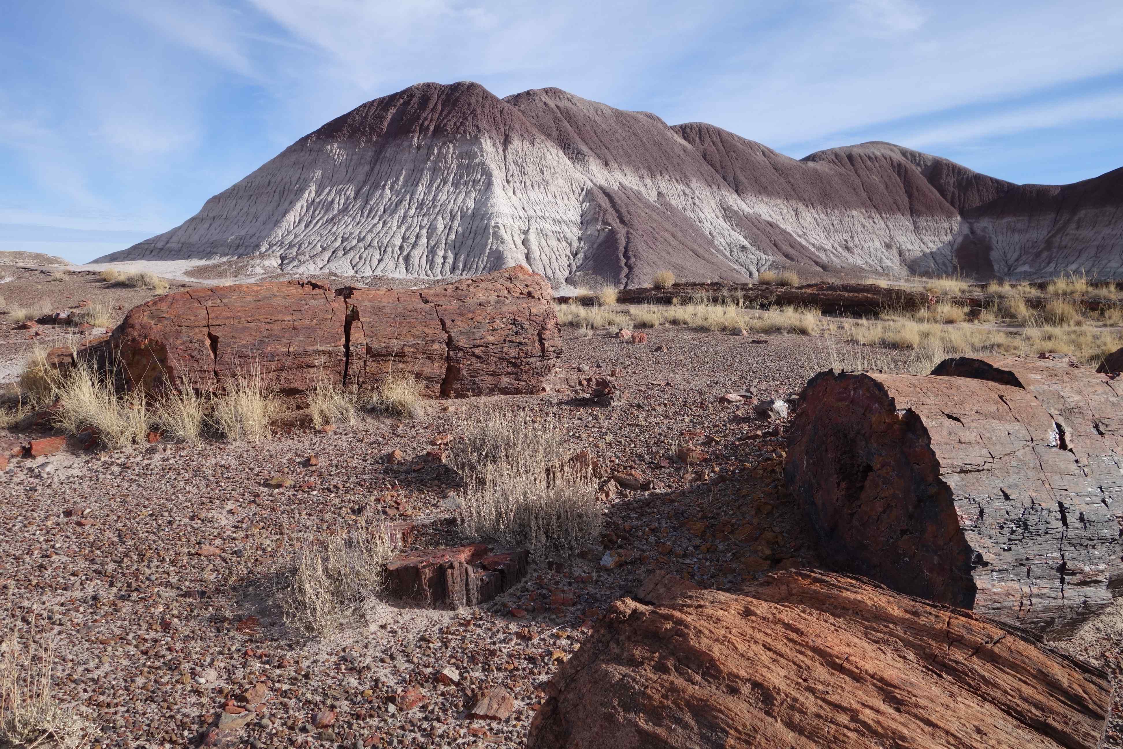 Petrified Forest NP